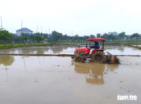 Giữa giá rét, nông dân Hà Tĩnh vẫn ra đồng cho kịp thời vụ- Ảnh 1. Máy móc hoạt động trên cánh đồng ở phường Thạch Quý, TP Hà Tĩnh - Ảnh: LÊ MINH