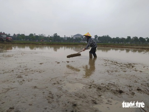Giữa giá rét, nông dân Hà Tĩnh vẫn ra đồng cho kịp thời vụ- Ảnh 2. Người phụ nữ làm đất trên khoảnh ruộng của gia đình để chuẩn bị gieo mạ vụ xuân - Ảnh: LÊ MINH