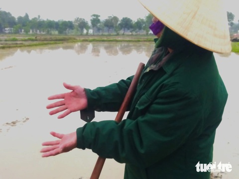 Giữa giá rét, nông dân Hà Tĩnh vẫn ra đồng cho kịp thời vụ- Ảnh 4. Bàn tay người đàn ông đỏ au khi làm việc giữa nhiệt độ thấp - Ảnh: LÊ MINH