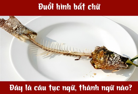 Câu tục ngữ, thành ngữ 'khó nhằn' này là gì? (P40)- Ảnh 3. Câu tục ngữ, thành ngữ 'khó nhằn' này là gì? (P40)- Ảnh 3.