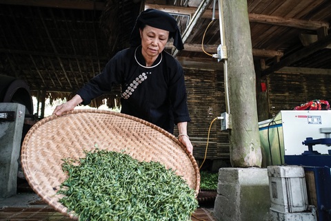 Thăm làng hạnh phúc 'cơm chung nồi, tiền chung túi' Thái Hải- Ảnh 4. Ở làng Thái Hải, mỗi nhà mỗi nghề, mỗi người mỗi việc cùng chung tay bảo tồn các giá trị di sản văn hóa vật thể và phi vật thể của dân tộc mình - Ảnh: N.H.