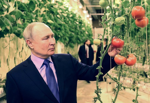 Bộ Ngoại giao Mỹ bác thông tin ông Putin muốn lấy lại bán đảo Alaska- Ảnh 1. Tổng thống Nga Vladimir Putin thăm nhà kính trồng rau tại Anadyr, thủ phủ vùng Chukotka, giáp bán đảo Alaska hôm 10-1 - Ảnh: REUTERS