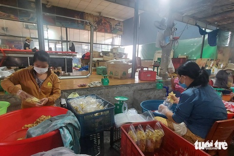 Làng nghề mứt gừng, bánh lọc đỏ lửa dịp Tết- Ảnh 1. Nhân công đóng gói mứt gừng Mỹ Chánh - Ảnh: HOÀNG TÁO