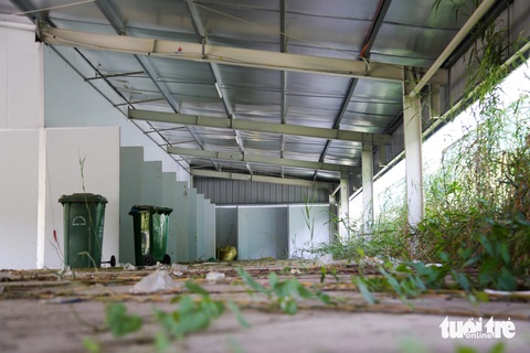 Bệnh viện dã chiến điều trị COVID-19 cuối cùng của Việt Nam giải thể- Ảnh 5. Khung cảnh hoang vắng, cây cỏ mọc um tùm. Điều này hoàn toàn trái ngược với lúc cao điểm của dịch bệnh. Rồi đây các đơn vị sẽ bàn giao lại toàn bộ tài sản đã huy động và bàn giao mặt bằng... - Ảnh: PHƯƠNG QUYÊN