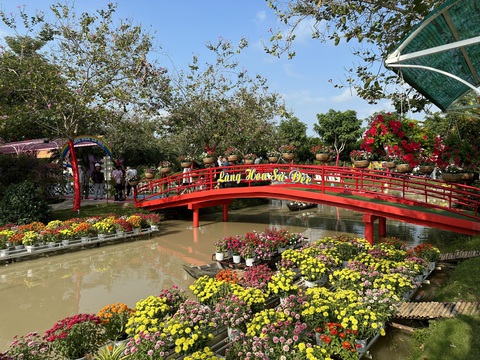 Khoảnh khắc Tết của tôi: Đầu năm mới, cả nhà lên rừng xuống biển- Ảnh 4. Làng hoa Sa Đéc rực rỡ quanh năm - Ảnh: ĐẶNG TUYẾT