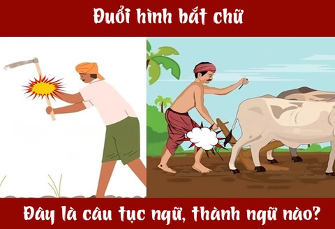Câu tục ngữ, thành ngữ 'khó nhằn' này là gì? (P43)- Ảnh 1. Câu tục ngữ, thành ngữ 'khó nhằn' này là gì? (P43)- Ảnh 1.