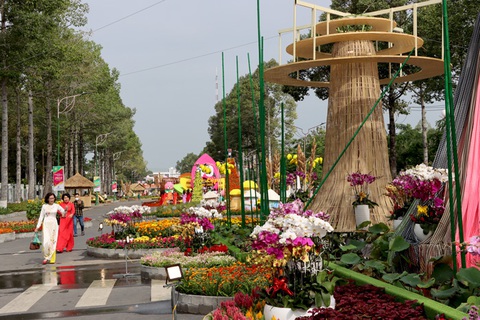Khoảnh khắc Tết của tôi: Đầu năm mới, cả nhà lên rừng xuống biển- Ảnh 5. Đường hoa xuân TP Cao Lãnh, tỉnh Đồng Tháp năm 2023 - Ảnh: ĐẶNG TUYẾT