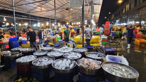 Phó chủ tịch TP.HCM: Chợ đầu mối phải đảm bảo đủ hàng hóa, không để sốt giá dịp Tết- Ảnh 2. Ngoài một số mặt hàng như mực, tôm sú, cá thu được dự đoán tăng giá, còn lại phần lớn thủy hải sản tại chợ Bình Điền giữ giá ổn định dịp Tết - Ảnh: N.TRÍ