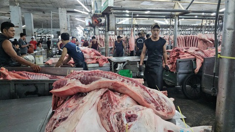Phó chủ tịch TP.HCM: Chợ đầu mối phải đảm bảo đủ hàng hóa, không để sốt giá dịp Tết- Ảnh 4. Dù là mặt hàng được tiêu dùng nhiều vào dịp Tết nhưng giá thịt heo cuối năm được dự đoán vẫn giữ ổn định ở mức thấp - Ảnh: N.TRÍ