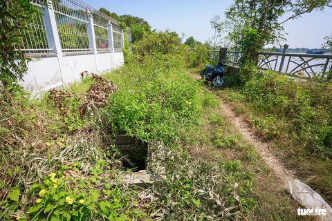 Dự án chống sạt lở Thanh Đa ì ạch, bờ kè liêu xiêu, cỏ mọc um tùm- Ảnh 6. Con đường dẫn vào công trường đoạn 4 đầy ắp cát, xe cộ khó đi lại. Cỏ dại mọc gần như bít lối đi, một số miệng cống tại đây không có nắp đậy tiềm ẩn nguy cơ mất an toàn - Ảnh: CHÂU TUẤN