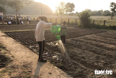 Mướt mắt vườn rau xanh học trò miền núi trồng gây quỹ giúp bạn- Ảnh 4. Sau khi làm đất, các em được phân công tưới nước, trồng rau - Ảnh: DOÃN HÒA