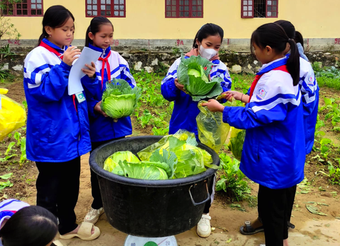 Ăn rau quả, những điều cần biết cách để tránh gây hại- Ảnh 2. Chọn đúng loại rau quả cần thiết để rau quả phát huy tác dụng cho người dùng