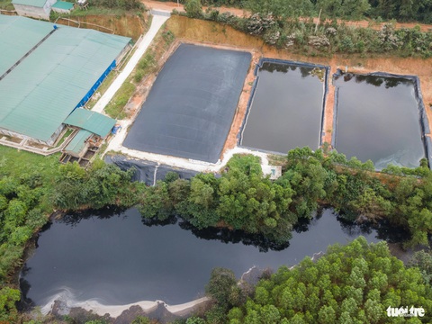 Hồ nước đen kịt, hôi thối sau lưng trang trại heo công nghệ cao- Ảnh 2. Hồ nước đen nhìn từ flycam phía sau trang trại heo khép kín - Ảnh: HOÀNG TÁO