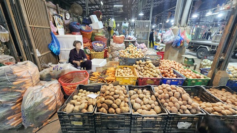 Rau củ Đà Lạt như khoai tây, cà rốt, củ cải... đang bày bán ở chợ đầu mối Bình Điền (TP.HCM) có giá bán tốt hơn Tết các năm trước nhưng vẫn ít người mua - Ảnh: NG.TRÍ Rau củ Đà Lạt như khoai tây, cà rốt, củ cải... đang bày bán ở chợ đầu mối Bình Điền (TP.HCM) có giá bán tốt hơn Tết các năm trước nhưng vẫn ít người mua - Ảnh: NG.TRÍ