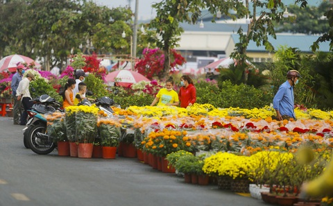 Chợ hoa xuân Bình Điền thu hút các nhà vườn đến từ các tỉnh phía Nam - Ảnh: N.BÌNH Chợ hoa xuân Bình Điền thu hút các nhà vườn đến từ các tỉnh phía Nam - Ảnh: N.BÌNH