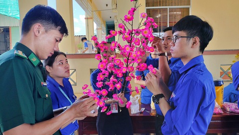 Khoảnh khắc Tết của tôi: Mùa xuân và người lính biên phòng- Ảnh 2. Chiến sĩ cùng đoàn viên thanh niên kết mai, đào chưng Tết - Ảnh tác giả cung cấp
