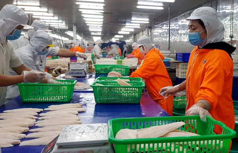 Cá tra fillet đang được người tiêu dùng trong nước tiêu thụ mạnh trong dịp Tết - Ảnh: BỬU ĐẤU Cá tra fillet đang được người tiêu dùng trong nước tiêu thụ mạnh trong dịp Tết - Ảnh: BỬU ĐẤU