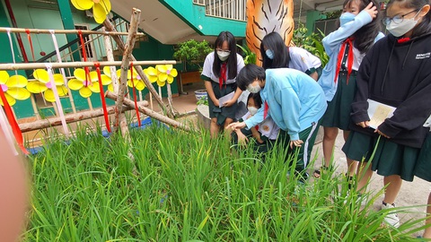 Ngành giáo dục TP.HCM để lại dấu ấn gì trong năm 2023?- Ảnh 6. Học sinh Trường THCS Hà Huy Tập, quận Bình Thạnh, TP.HCM học tập thực tế ngoài lớp học - Ảnh: H.HG.