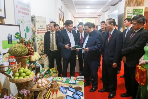 Thủ tướng: Nông nghiệp chớp thời cơ từ thị trường Trung Quốc rất nhanh- Ảnh 1. Thủ tướng tham quan gian hàng trưng bày các sản phẩm nông nghiệp - Ảnh: C.TUỆ