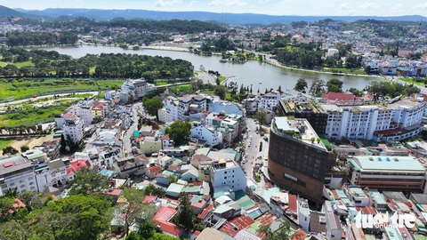 Quy hoạch Đà Lạt: Đẩy lùi nhà kính, tăng mảng xanh- Ảnh 2. Mảng xanh ở vùng lõi Đà Lạt đang rất ít - Ảnh: M.V.