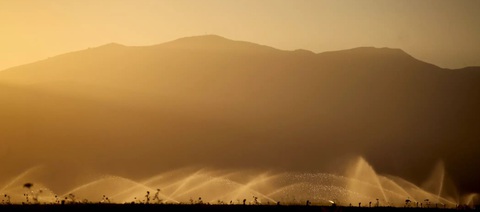 Hệ thống tưới tiêu tưới cho cánh đồng cà rốt ở Cuyama Valley của California vào tháng 10-2023 - Ảnh: LOS ANGELES TIMES Hệ thống tưới tiêu tưới cho cánh đồng cà rốt ở Cuyama Valley của California vào tháng 10-2023 - Ảnh: LOS ANGELES TIMES