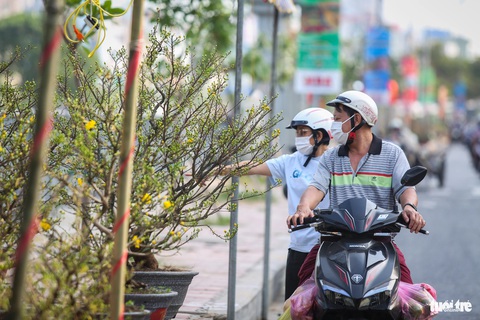 Thuyền hoa cập Bến Bình Đông, người dân tranh thủ sắm Tết sớm- Ảnh 5. Người dân tranh thủ ghé chọn những chậu hoa ưng ý mang về chăm hoa nở đúng vào ngày Tết - Ảnh: PHƯƠNG QUYÊN
