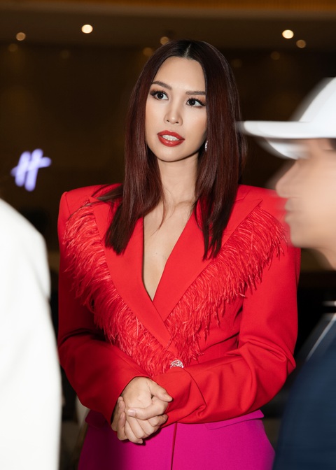 Siêu mẫu Hà Anh 'vác bụng bầu' đón 80 thí sinh Miss Global đến Việt Nam- Ảnh 4. Hà Anh tiết lộ luôn có hai
