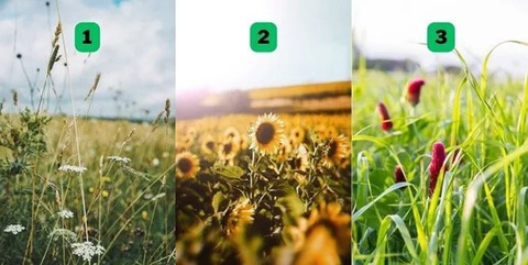 Quiz: Sang năm mới, các mối quan hệ xã hội của bạn phát triển thế nào?- Ảnh 1. Quiz: Sang năm mới, các mối quan hệ xã hội của bạn phát triển thế nào?- Ảnh 1.