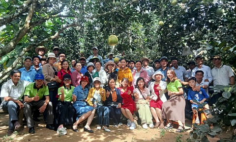 Nghĩa Hành mở cửa đón khách- Ảnh 3. Đoàn du khách trải nghiệm khám phá vườn trái cây ở xã Hành Nhân, huyện Nghĩa Hành - Ảnh: TRẦN MAI