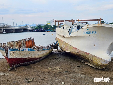 Vụ 'nghĩa địa' tàu đắm ở Nha Trang: Sẽ trục vớt các xác tàu- Ảnh 1. Xác tàu đắm thuộc vùng mặt nước Hòn Rớ, xã Phước Đồng sẽ được cẩu kéo, trục vớt trước ngày 10-1 - Ảnh: MINH CHIẾN
