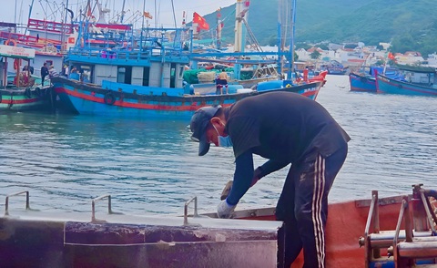 Được mùa cá ngừ đại dương, tàu về bờ là tranh thủ quay lại khơi- Ảnh 2. Nhiều chủ tàu tranh thủ sửa chữa tàu cho kịp chuyến đi câu cá ngừ đại dương - Ảnh: MINH CHIẾN
