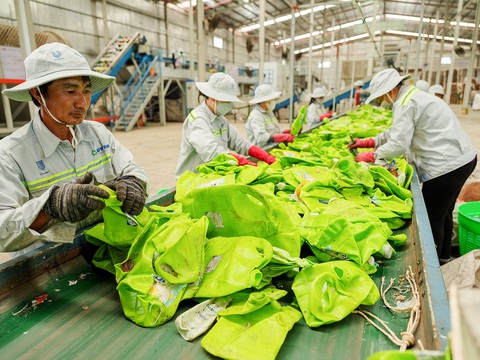 Cơ hội chưa từng có cho ngành tái chế Việt Nam?- Ảnh 2. Công nhân phân loại nhựa sau tiêu dùng - Ảnh: PHI VÂN