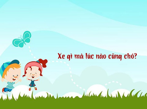 Câu đố hack não: Xe gì mà lúc nào cũng chó?- Ảnh 1. Câu đố hack não: Xe gì mà lúc nào cũng chó?- Ảnh 1.
