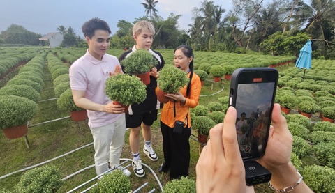 TikToker tề tựu, sắp diễn ra 'ngày hội' livestream bán hàng tại vựa hoa, cây giống lớn nhất cả nước- Ảnh 1. Các TikToker tìm hiểu thông tin hoa cúc mâm xôi tại vườn ông Đinh Phước Ân (Chợ Lách, Bến Tre) - Ảnh: N.TRÍ