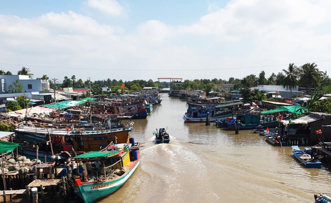 Cục Kiểm ngư: Bảo kê, tranh chấp ngư trường khiến ngư dân bức xúc- Ảnh 3. Một số tàu khai thác thủy sản ở Cà Mau không dám ra khơi do sợ ngư trường tranh chấp - Ảnh: THANH HUYỀN