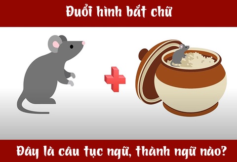 IQ cao có đoán được đây là câu tục ngữ, thành ngữ gì? (P27)- Ảnh 1. IQ cao có đoán được đây là câu tục ngữ, thành ngữ gì? (P27)- Ảnh 1.