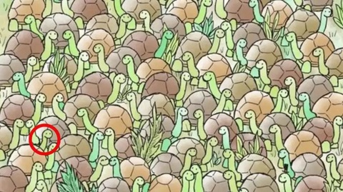 Mắt 10/10 mới thấy con chó trốn ở đâu?- Ảnh 4.
