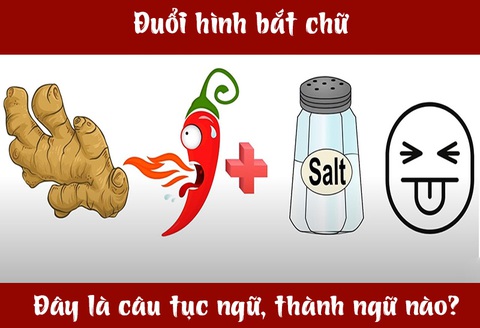 IQ cao có đoán được đây là câu tục ngữ, thành ngữ gì? (P27)- Ảnh 3. IQ cao có đoán được đây là câu tục ngữ, thành ngữ gì? (P27)- Ảnh 3.