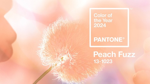 Peach Fuzz - màu của năm 2024: tin vào Việt Nam bình yên, hạnh phúc- Ảnh 1. Peach Fuzz - màu của năm 2024