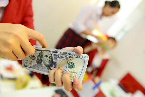 Hàng triệu USD tiền mặt từ đâu ra?- Ảnh 1. Giao dịch USD tại một ngân hàng ở TP.HCM - Ảnh: QUANG ĐỊNH