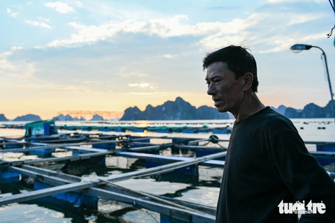 Sẽ có thông tư cơ cấu nợ cho khoản vay bị thiệt hại do bão - Ảnh 1. Sẽ có thông tư cơ cấu nợ cho khoản vay bị thiệt hại do bão - Ảnh 2.