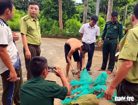 Phạt người đưa 17 con khỉ đuôi dài Côn Đảo về bờ hơn 17 triệu đồng - Ảnh 1.