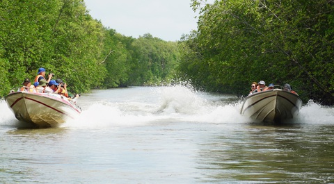 Tour xuyên rừng ngập mặn Vườn quốc gia Mũi Cà Mau hút khách - Ảnh 3. Tour xuyên rừng ngập mặn Vườn quốc gia Mũi Cà Mau hút khách - Ảnh 3.