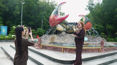 Tour xuyên rừng ngập mặn Vườn quốc gia Mũi Cà Mau hút khách - Ảnh 4. Tour xuyên rừng ngập mặn Vườn quốc gia Mũi Cà Mau hút khách - Ảnh 4.