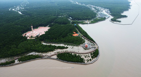 Tour xuyên rừng ngập mặn Vườn quốc gia Mũi Cà Mau hút khách - Ảnh 1. Tour xuyên rừng ngập mặn Vườn quốc gia Mũi Cà Mau hút khách - Ảnh 1.