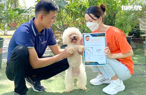 Khi cún cưng đi học - Ảnh 3. Khi cún cưng đi học - Ảnh 3.
