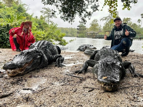 Dân Florida hoảng hồn vì 'cá sấu lên bờ' theo Bão Milton - Ảnh 1. Dân Florida hoảng hồn vì 'cá sấu lên bờ' theo Bão Milton - Ảnh 1.