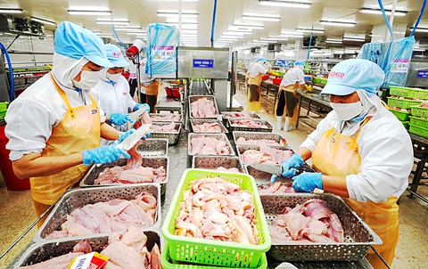 Doanh nhân Việt nỗ lực vượt khó - Ảnh 1. Doanh nhân Việt nỗ lực vượt khó - Ảnh 1.