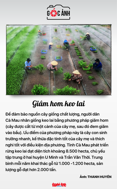 Tin tức sáng 14-10: Thường vụ Quốc hội họp về nhân sự; Triều cường vượt báo động 3 ở TP.HCM - Ảnh 8.