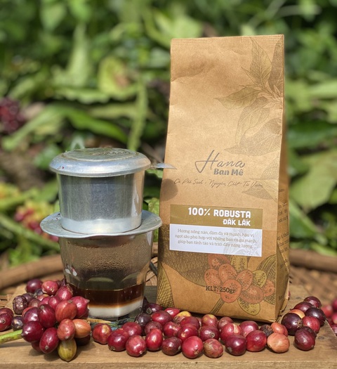 Hana Ban Mê hái quả ngọt sau 3 năm rời miền xuôi về đại ngàn - Ảnh 3. Hana Ban Mê hái quả ngọt sau 3 năm rời miền xuôi về đại ngàn - Ảnh 3.